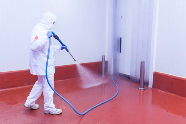 Best Solar Panel Cleaning  in Conway Springs, KS